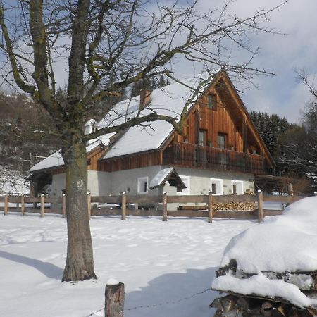 Ferienhaus "Zur Alten Schmiede" Mariahof Luaran gambar