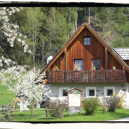 Ferienhaus "Zur Alten Schmiede" Mariahof Luaran gambar