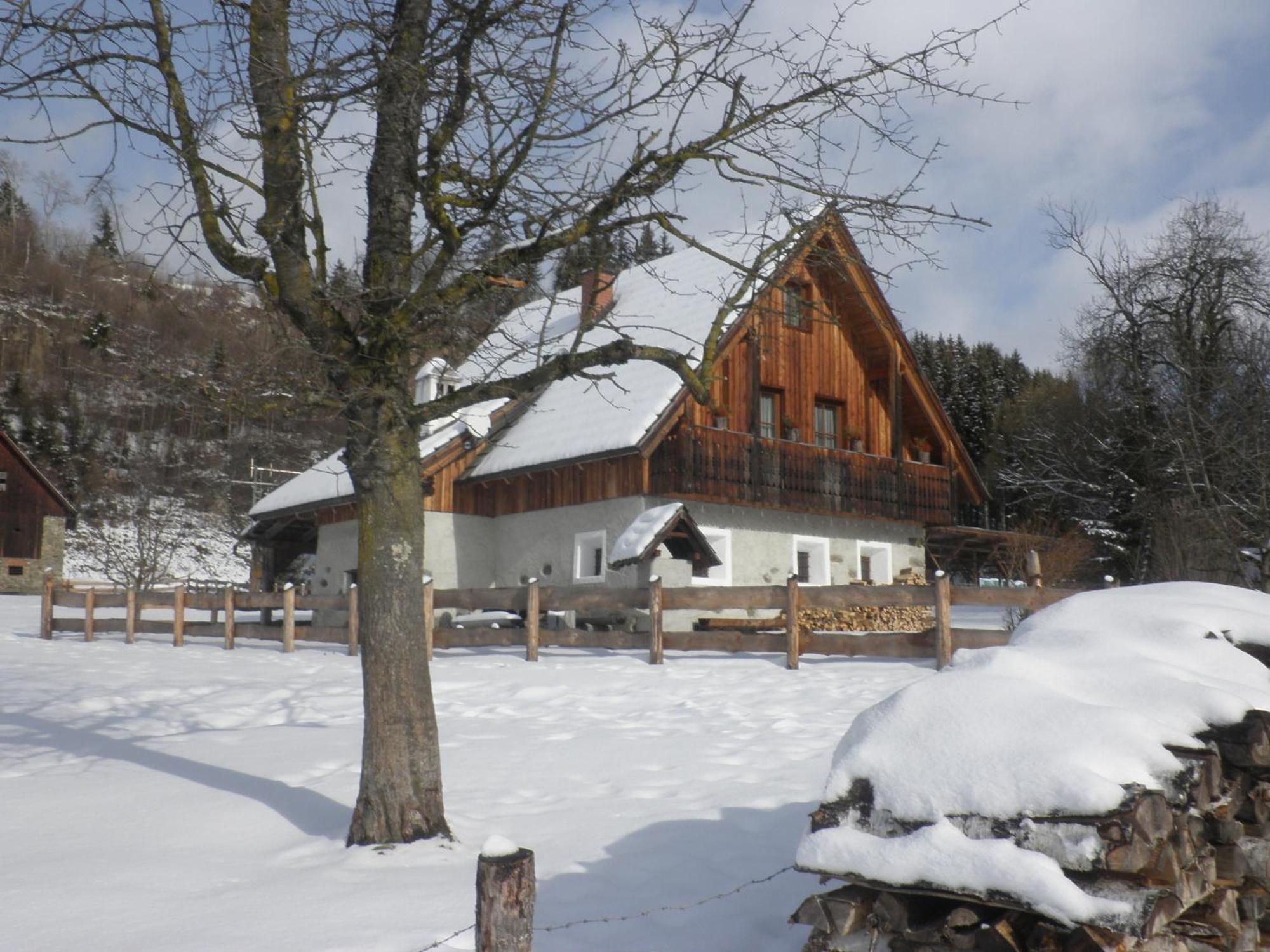 Ferienhaus "Zur Alten Schmiede" Mariahof Luaran gambar