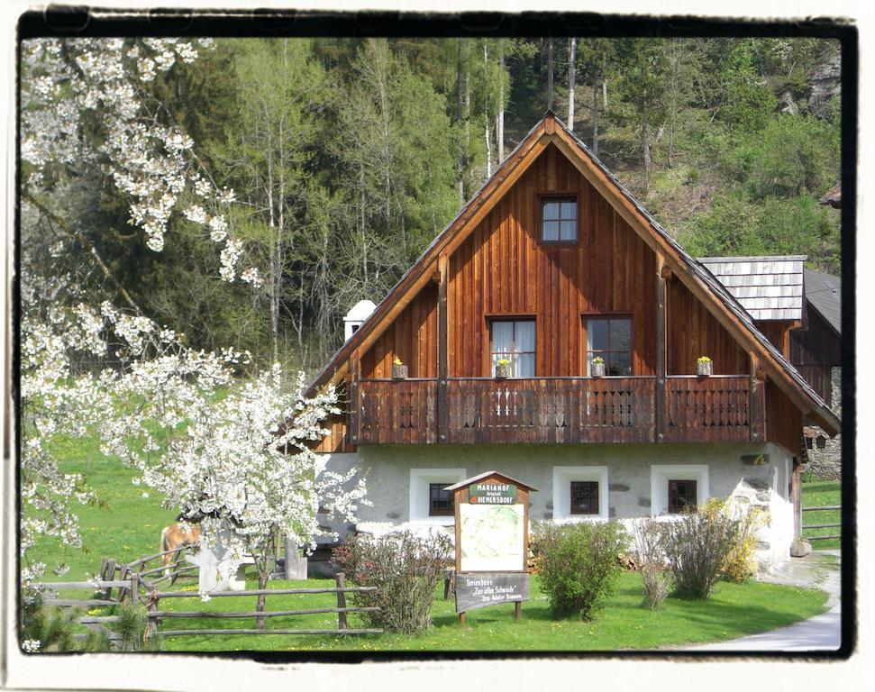 Ferienhaus "Zur Alten Schmiede" Mariahof Luaran gambar